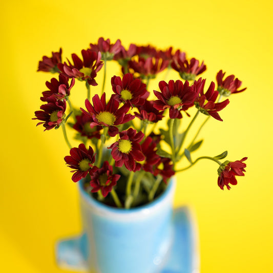 "Bouquet of One" Collection