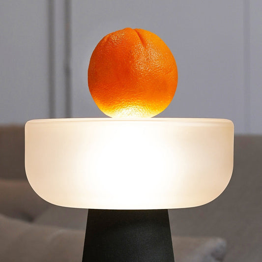 "Anything" Lamp Collection